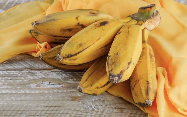 砂糖の多い果物に注意してください。写真:トゥイ・ズオン