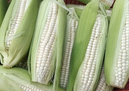 血糖値の上昇を避けるために、トウモロコシを正しく食べる必要があります。写真:キエウ・ヴー