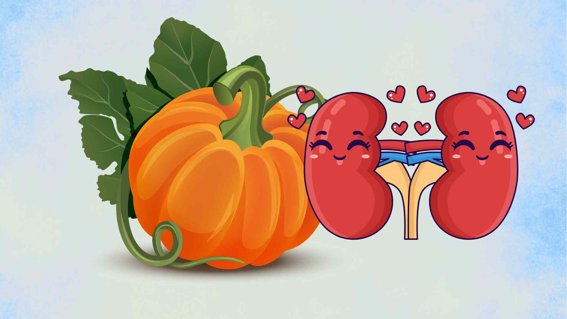 Unexpected benefits of pumpkin for the kidneys. Graphic photo: Hoang Loc