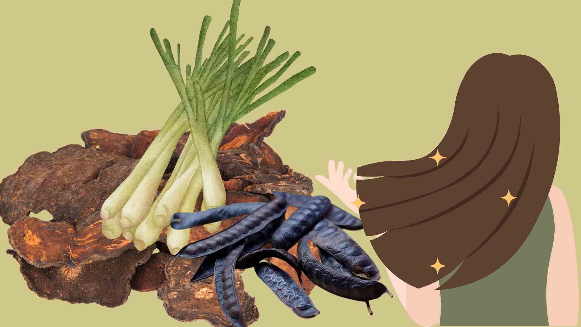 Using pennywort properly can support hair growth. Graphic photo: Thai Anh