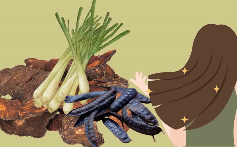 Using pennywort properly can support hair growth. Graphic photo: Thai Anh