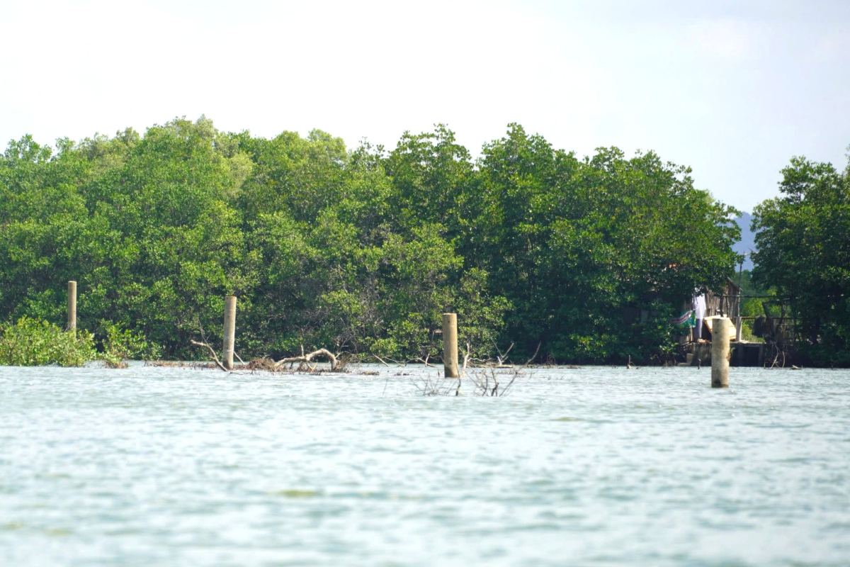 강 한가운데에 박힌 콘크리트 말뚝 몇 개. 사진: 탄 안