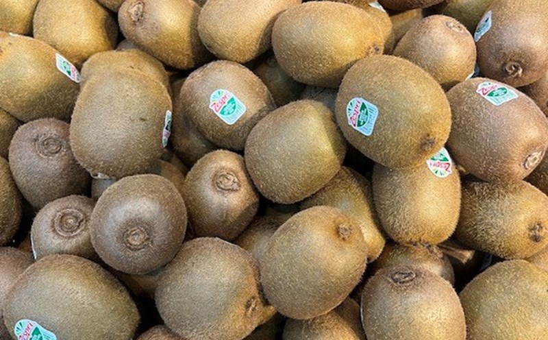 Kiwi juice stimulates the production of endogenous melatonin, helping to sleep better. Photo: Kieu Vu.