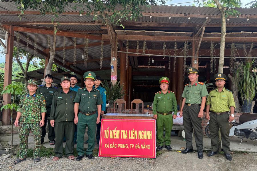 Da Nang establecio un alfiler para proteger los arboles forestales en la comuna fronteriza DAC Pring. Foto: Da Nang City Police