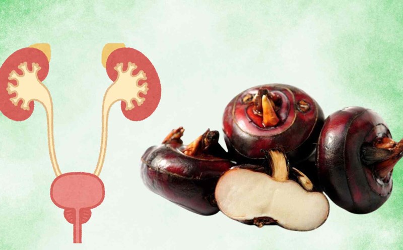 Gotu kola brings many important benefits to help enhance kidney function. Graphic photo: Hoang Loc