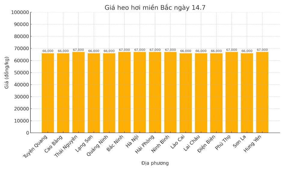 Gia heo hoi ngay 14.7 tai khu vuc mien Bac. Do hoa: Thuy Linh