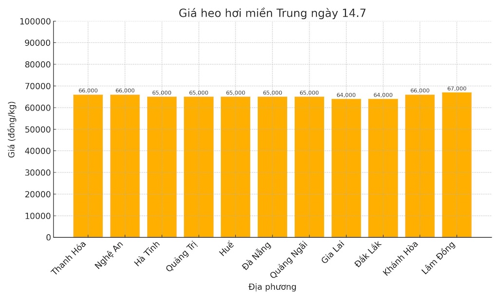 Gia heo hoi ngay 14.7 tai khu vuc mien Trung. Do hoa: Thuy Linh