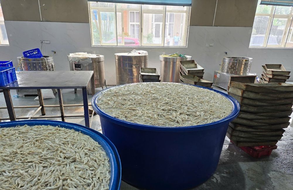 Chân gà đang được ngâm, tẩm hóa chất. Ảnh: CATH