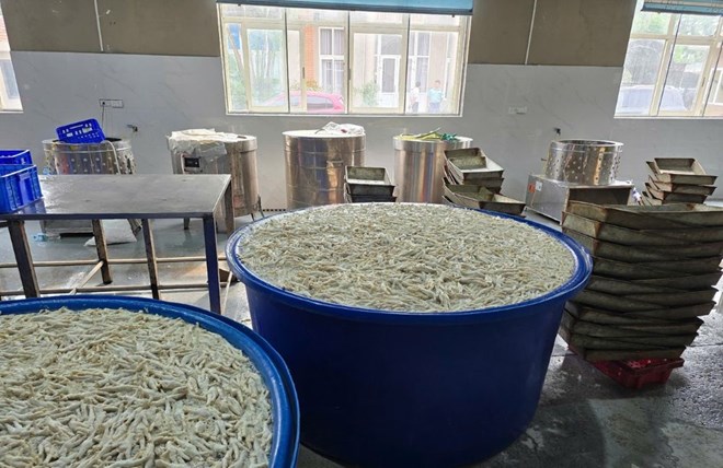 Chân gà đang được ngâm, tẩm hóa chất. Ảnh: Công an Thanh Hóa