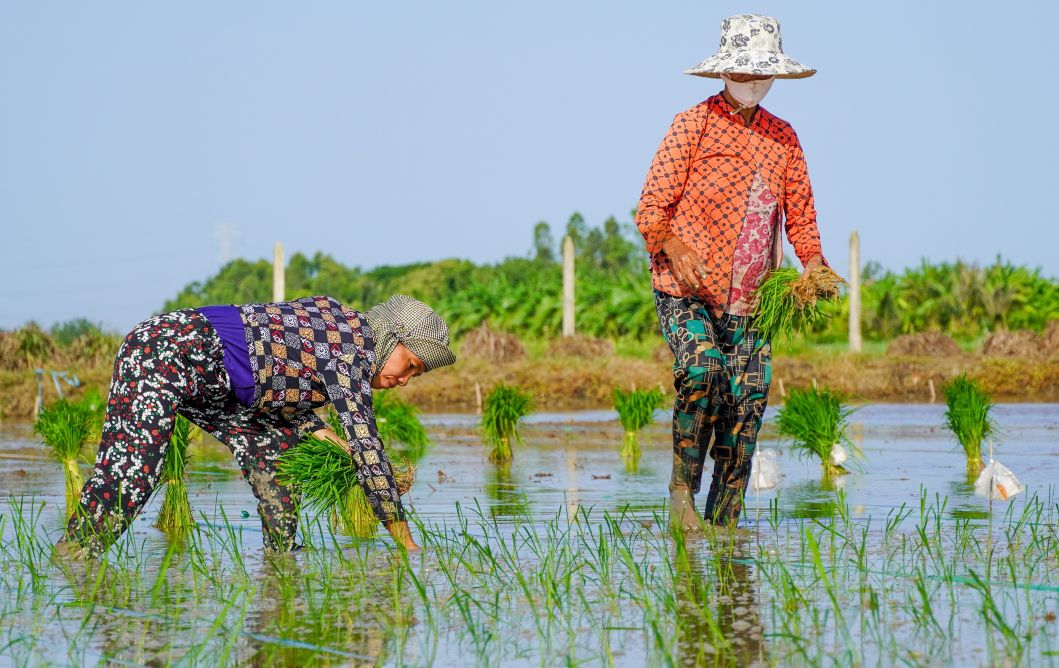 Cong viec co the nhoc nhan, nhung voi nhieu nguoi, moi ngay cui lung la moi ngay no du. Ho khong chi cay lua, giam cay, ma con gieo len nhung giac mo binh di giua doi thuong.