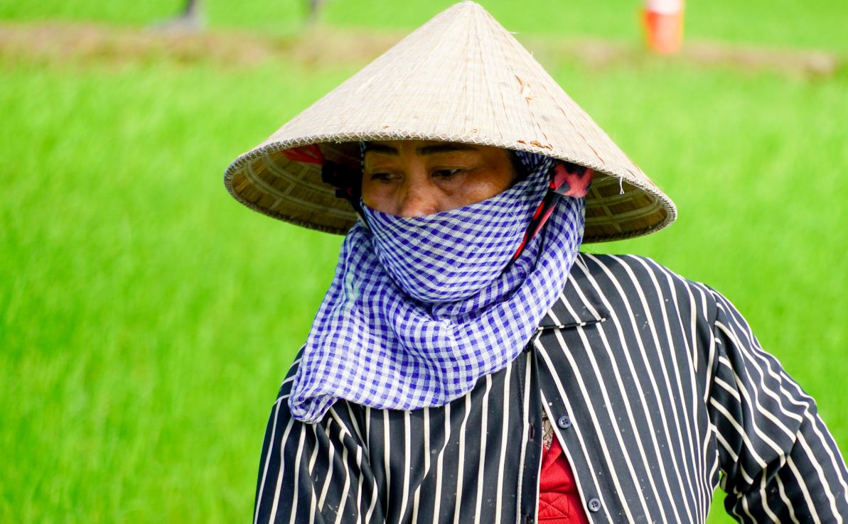 Lam viec duoi troi nang nen hau het lao dong deu che chan can than.
