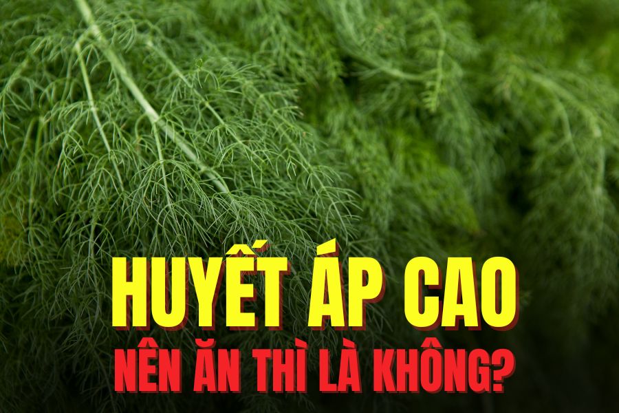 Adding fennel to a reasonable diet can help lower high blood pressure effectively. Graphics: Tra My