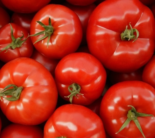 Choose tomatoes with bright red, even skin, tight skin, and no scratches to make a juice to drink to help reduce cholesterol. Photo: Kieu Vu