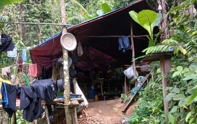 Lan trai duoc dung len giua rung phong ho phuc vu cho viec dao dai vang trai phep. Anh: PV