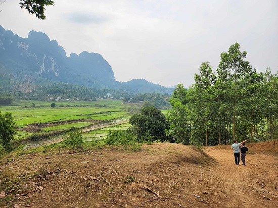 People do not have to confirm that the land is not in dispute when making a red book. Photo: Cao Nguyen