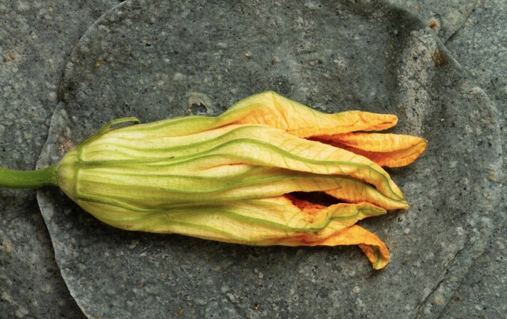 Flower dishes are both beautiful and help with weight loss. Photo: Thuy Duong