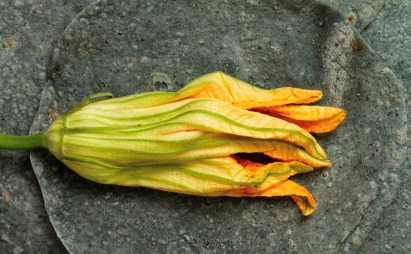 Flower dishes are both beautiful and help with weight loss. Photo: Thuy Duong