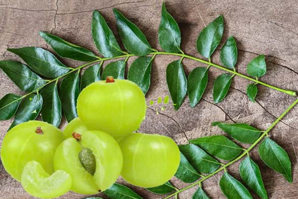 Three notable health benefits of combining amla and curry leaves. Graphics: Cat Tien