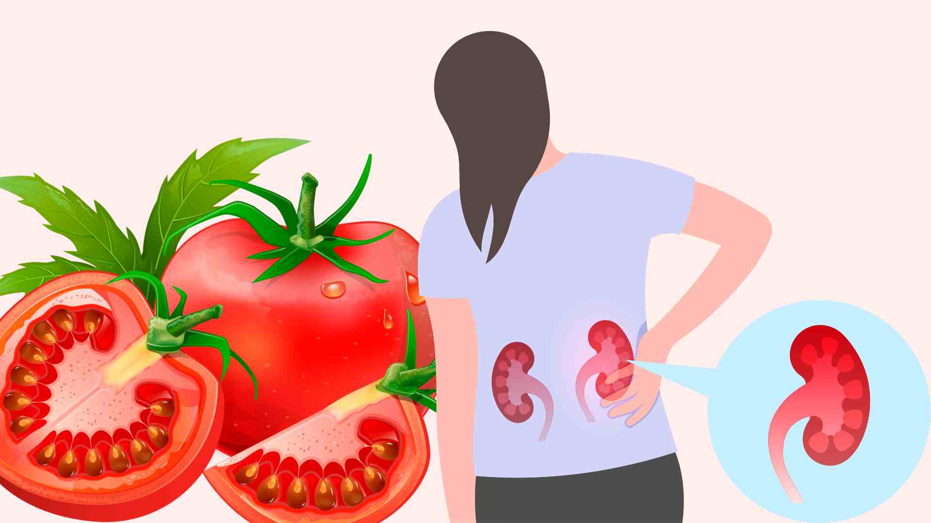 Eating tomatoes helps support the health of people with kidney failure, Graphic photo: Hoang Loc