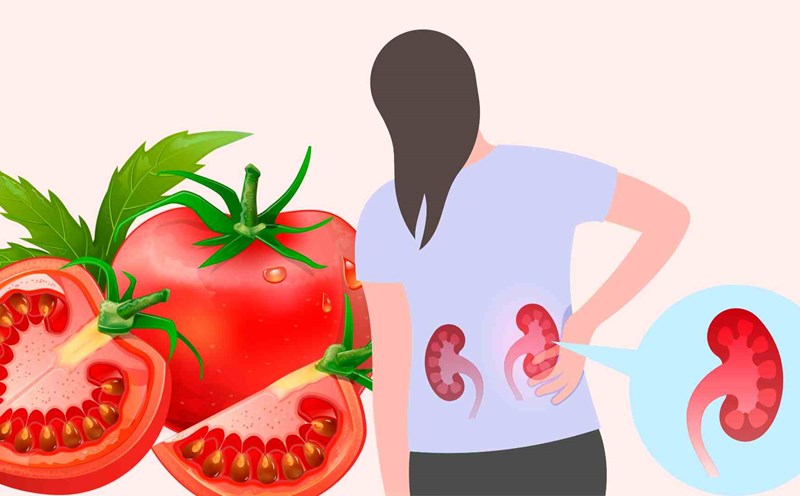 Eating tomatoes helps support the health of people with kidney failure, Graphic photo: Hoang Loc