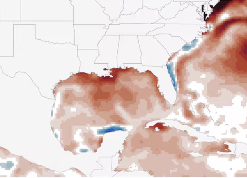 새로운 태풍은 이번 주에 형성될 가능성이 30%이며 따뜻한 해수로 인해 급격히 강화될 위험이 있습니다. 사진: NOAA