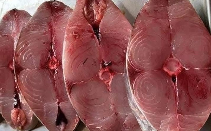 Anchovies from fish such as mackerel with reasonable consumption are still considered to have little negative impact on the kidneys. Photo: Kieu Vu