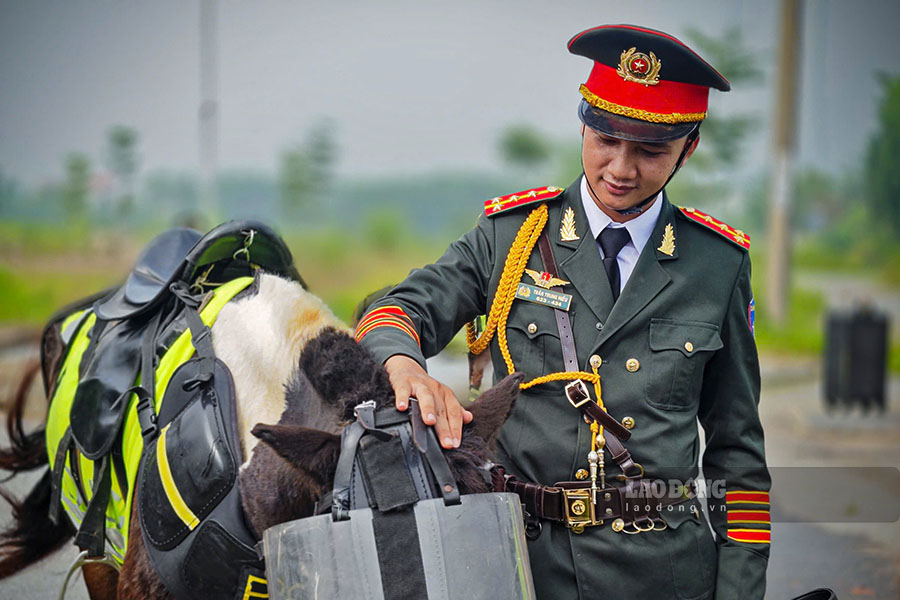 Moi chien si duoc giao cho mot chu ngua tu cham soc, nuoi duong va huan luyen. Doi voi cac chien si CSCD ky binh, ngua khong chi la vat nuoi nghiep vu ma con nhu nguoi ban dong hanh cung ho trong suot qua trinh cong tac.