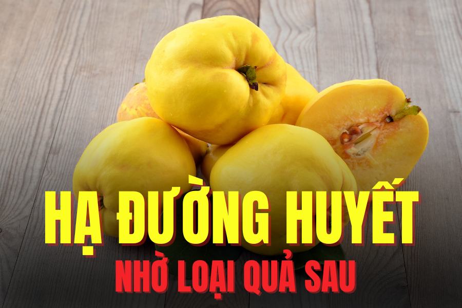 Moc quaは、血糖値を下げる必要がある人に適した果物の1つです。グラフィック:Tra My