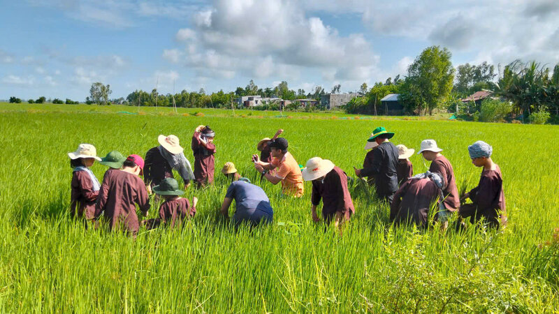 Children experience "Green Agricultural Spring Festival" in Dong Thap. Photo: Program Organizing Committee