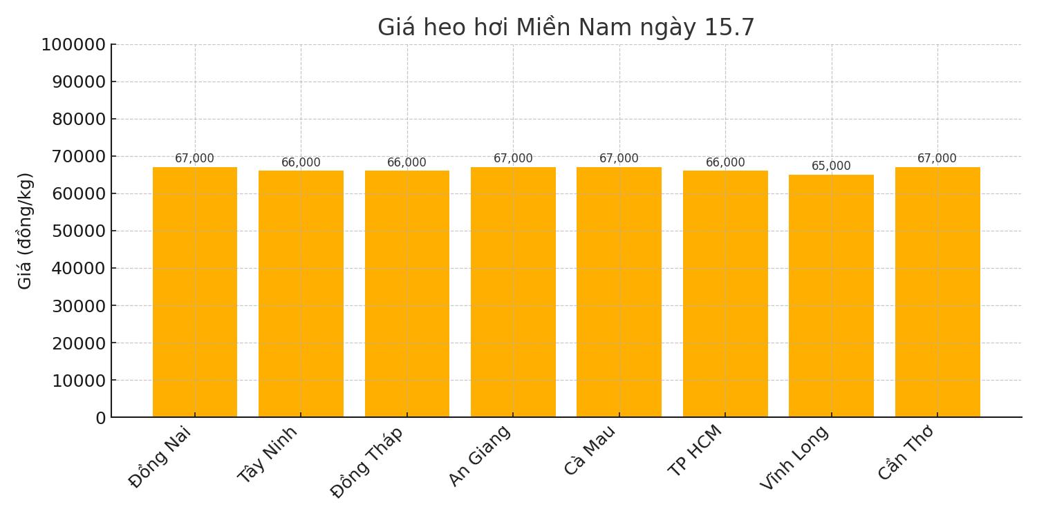 Gia heo hoi ngay 15.7 tai khu vuc mien Nam. Do hoa: Thuy Linh