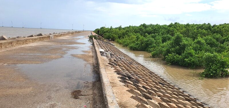 Tai nhung noi ke bien hoan thanh (khu vuc Ganh Hao), khong con sat lo, phia trong de rung da hoi sinh. Anh: Nhat Ho