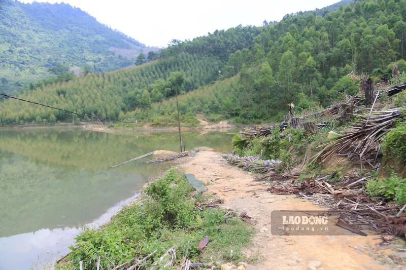 Nuoc dap dang cao gay kho khan trong viec khai thac nguyen lieu cua nguoi dan. Anh: Lam Thanh