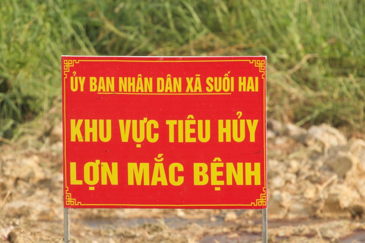 Khu vuc tieu huy lon benh nay da co dau hieu bi ro ri, gay o nhiem. Anh: Thuy Linh