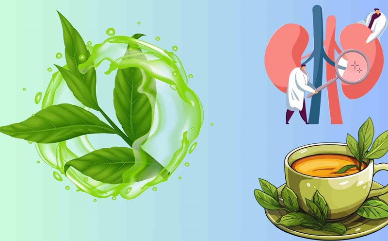 If you drink green tea at the right time of the day, the body will detoxify more effectively, the kidneys will function better and your health will improve significantly. Graphics: Huyen Trang
