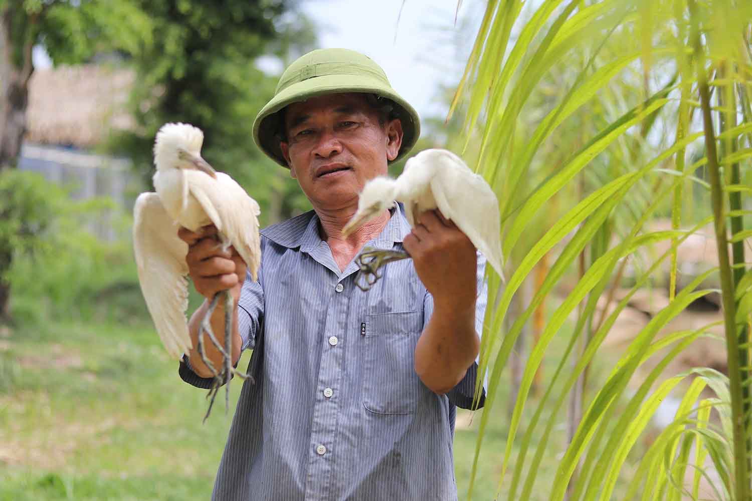Nhung con co duoc cham soc hang ngay. Anh: Tran Tuan.