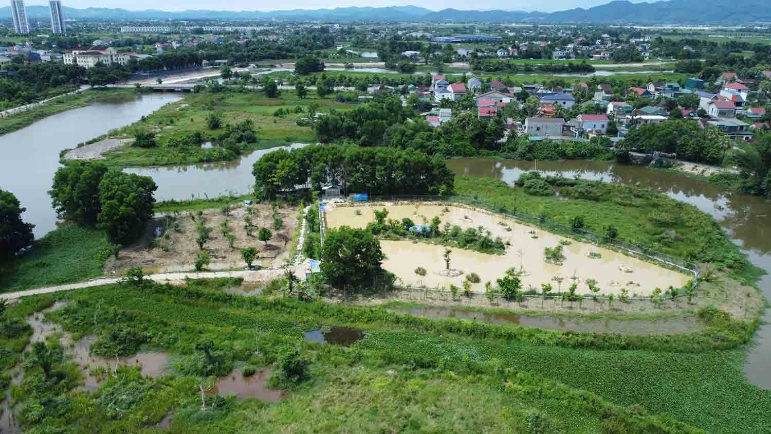 Mot goc vuon chim nhan tao ben dong song Dong. Anh: Tran Tuan.