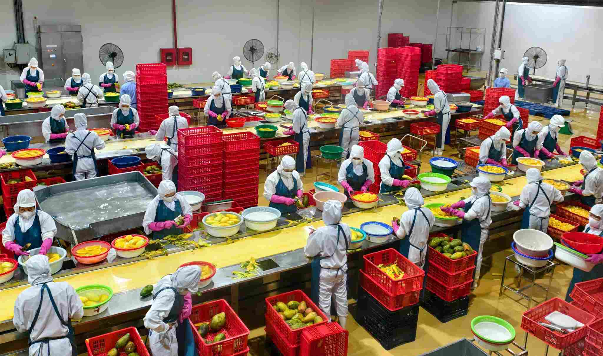 After the merger, the Son La union cadres still maintain a sense of responsibility, unite and focus on taking care of the material and spiritual life of workers. Photo: Nguyen Truong