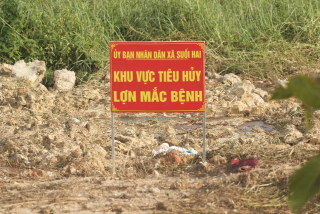 Khu vuc tieu huy lon benh tai xa Suoi Hai co dau hieu ro ri, boc mui hoi thoi. Anh: Thuy Linh