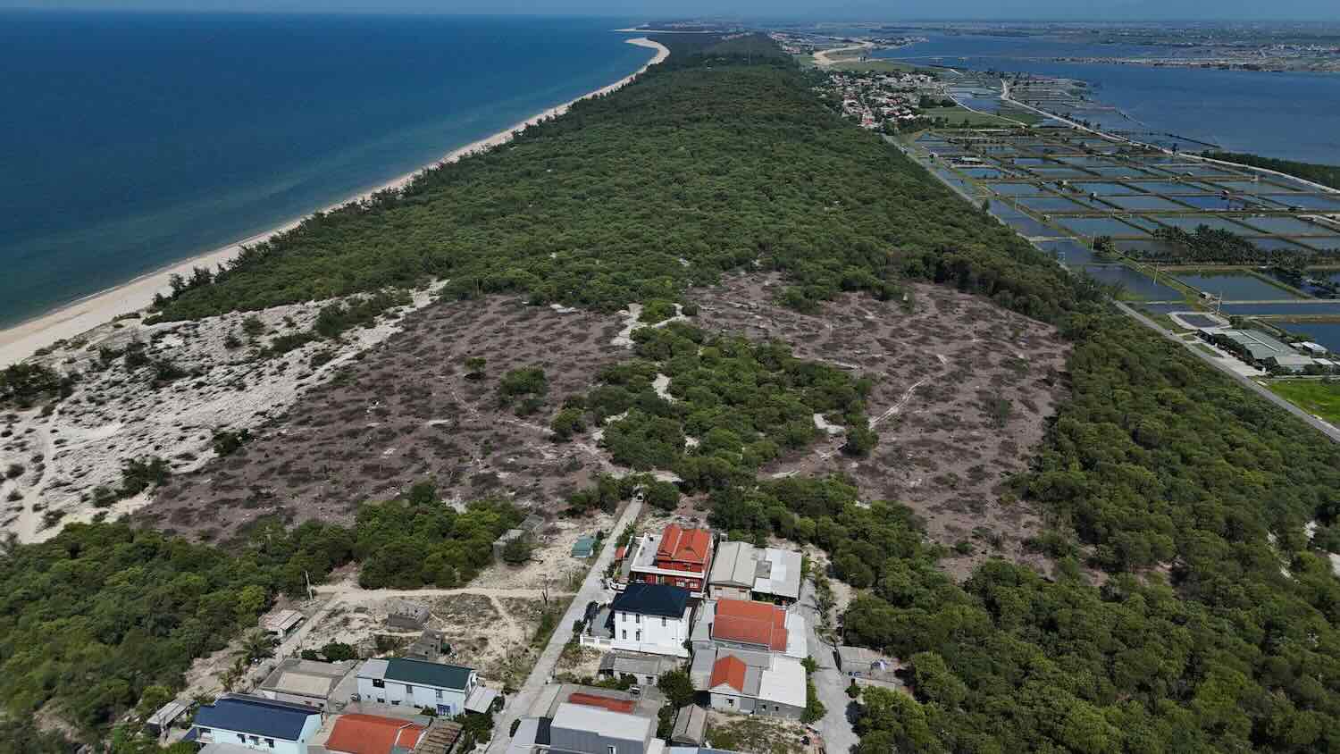 위에서 내려다본 벌목된 보호림 면적의 일부. 사진: 응우옌 루언.