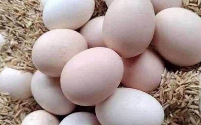 According to recommendations, people with weak kidneys should consider eating egg whites for breakfast with the advice of a doctor. Photo: Kieu Vu