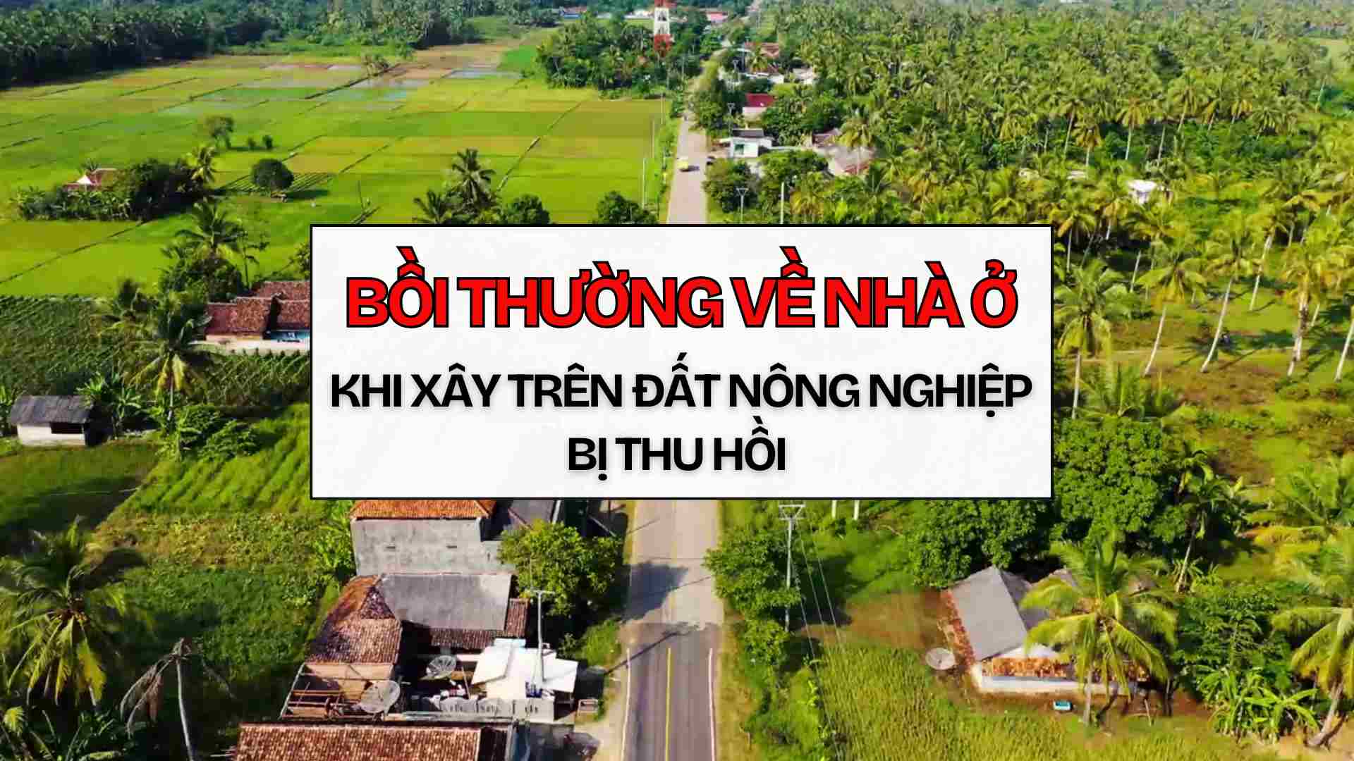 Compensation for houses built on recovered agricultural land. Graphics: Thach Lam