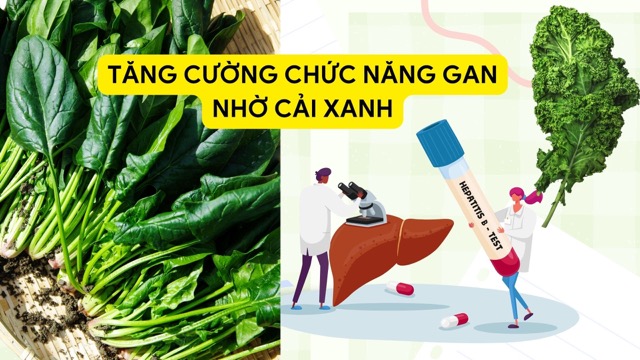 緑黄色野菜は肝機能を効果的に保護するのに役立ちます。写真:Huong Son