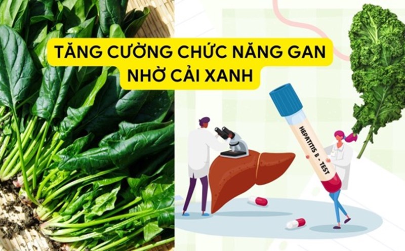 Broccoli helps protect liver function effectively. Graphic photo: Huong Son
