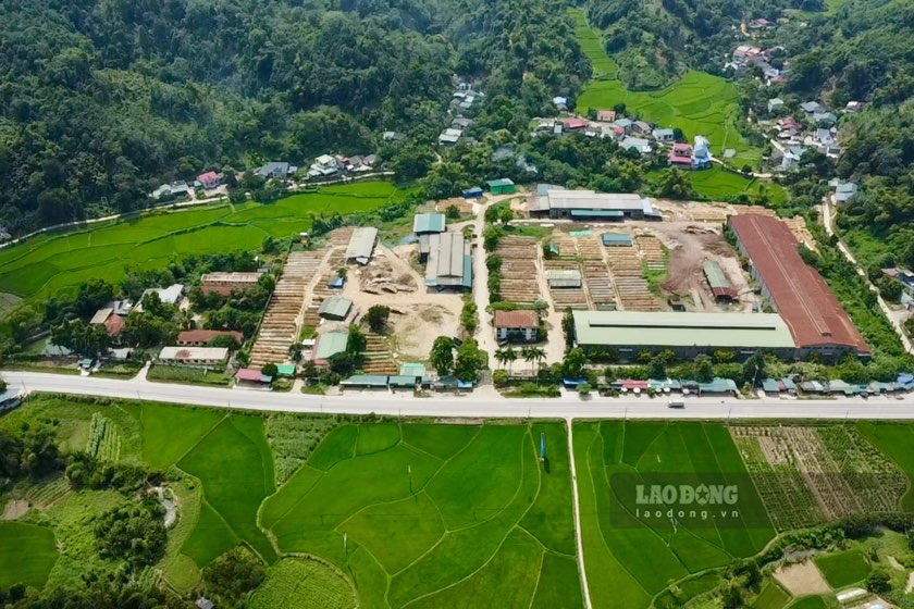 Dự án ôtô Tralas nay thành xưởng gỗ. Ảnh: Đặng Vũ.