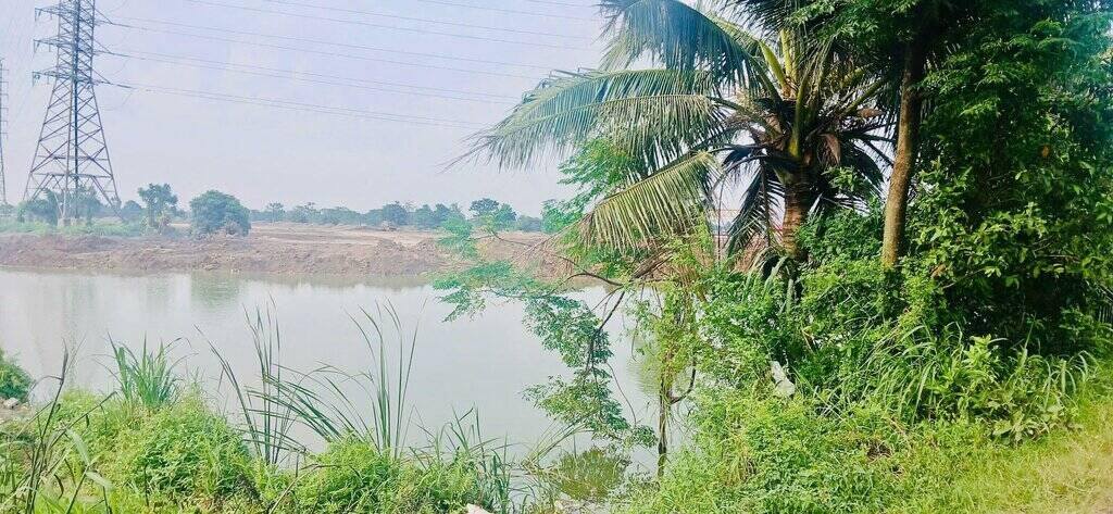 ハイフォン市Tu Minh区が灌回廊の管理を強化。写真:Tu Minh区