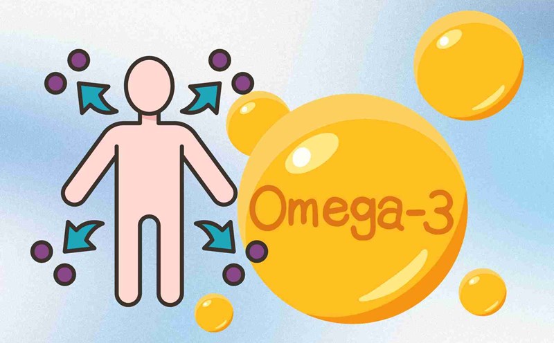 The golden time of the day to supplement omega-3 helps the kidneys self-filter out toxins