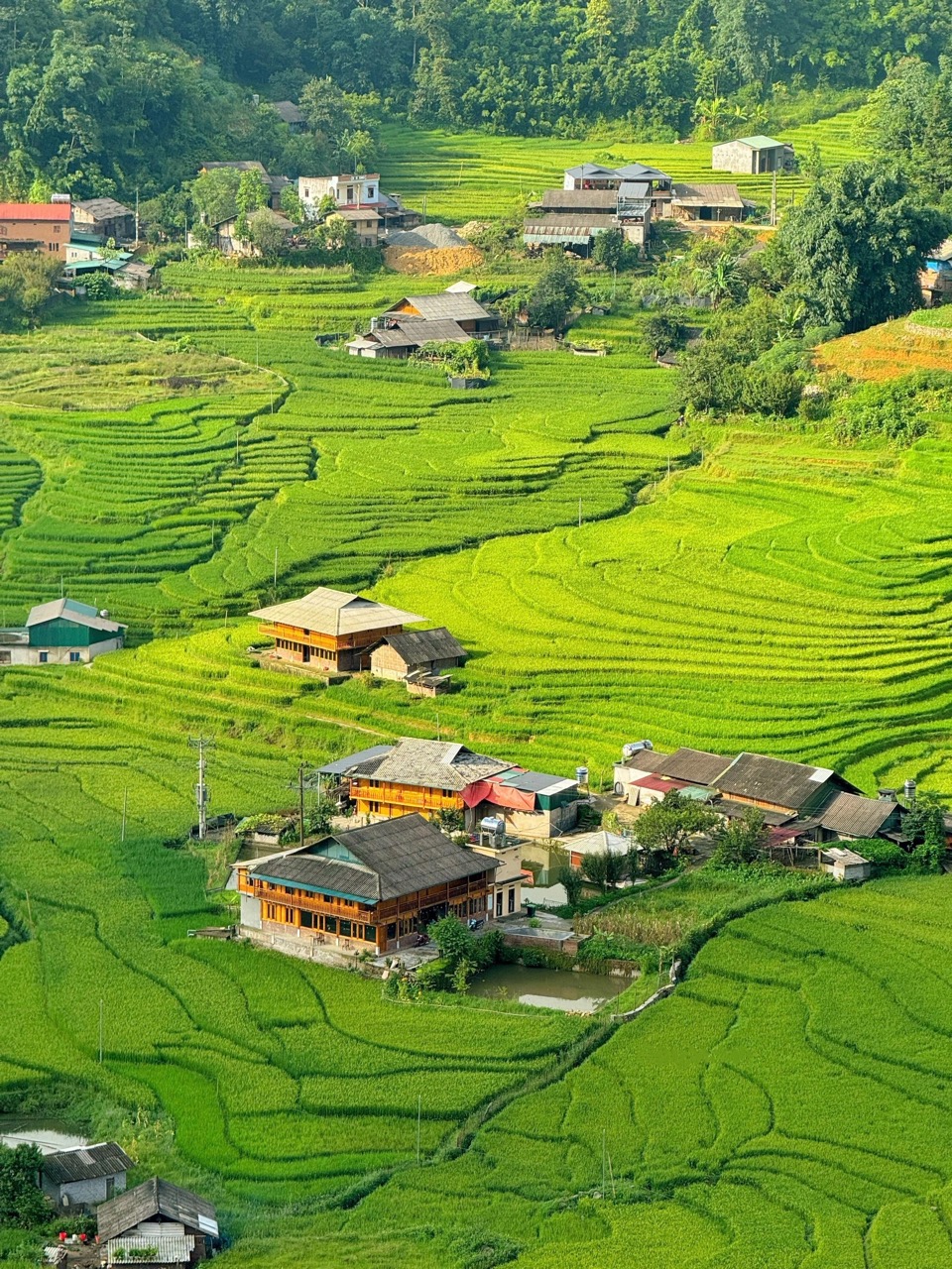 វាលស្រែរាបស្មើនៅតាវ៉ាន់ (Sa Pa, Lao Cai) ស្ថិតក្នុងរដូវស្រូវទុំ ទាក់ទាញចិត្តមនុស្សជាមួយនឹងសម្រស់របស់ពួកគេ។ រូបថត៖ Ba Dinh។