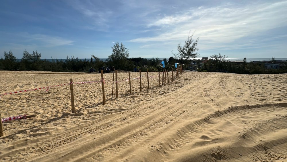 Quang Tri省の砂丘を囲む竹垣は観光客に迷惑をかけています.