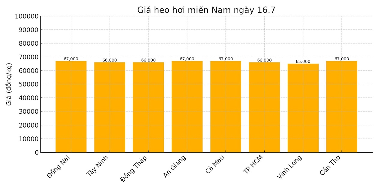 Gia heo hoi ngay 16.7 tai khu vuc mien Nam. Do hoa: Thuy Linh