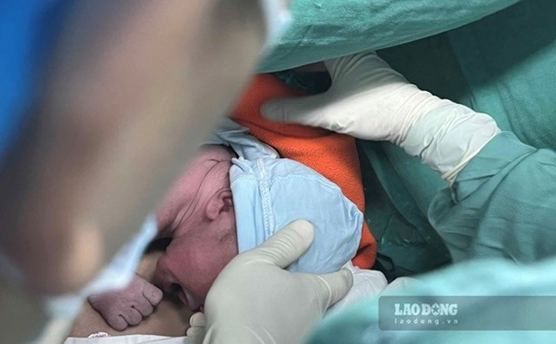 Will pregnant women who violate labor regulations be disciplined? Photo: Thuy Linh